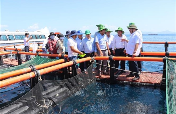 Phát triển kinh tế tư nhân: Động lực mới ở Khánh Hòa