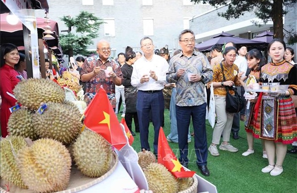 Quảng bá sầu riêng Việt Nam tại Lễ hội sầu riêng ASEAN - Trung Quốc