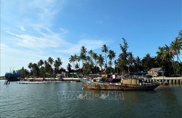 Giữ màu xanh những cánh rừng nơi cửa biển - Bài 1: Những &#39;tuyến đê xanh&#39;