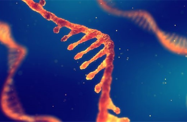 Phát hiện &#39;công tắc ẩn&#39; khiến khối u kháng điều trị ung thư