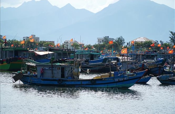 Tiếp sức cho người dân khôi phục nghề nuôi trồng thủy sản