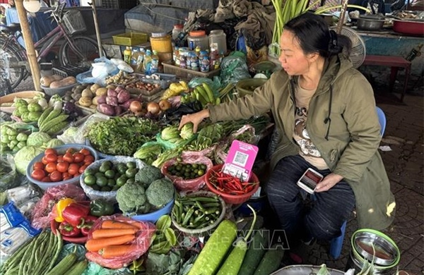 Giá rau xanh hạ nhiệt