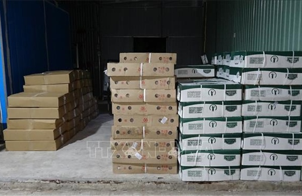 Phát hiện hơn 15 tấn thịt, nội tạng động vật đông lạnh không rõ nguồn gốc