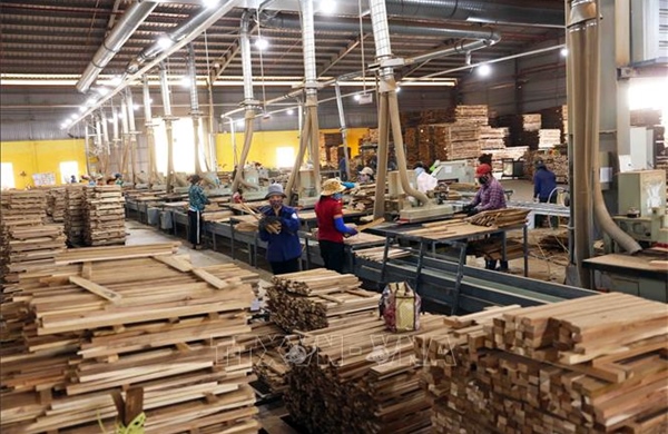 Hoa Kỳ hoãn tăng thuế gỗ theo Mục 232: Không gắn với phán quyết về thuế đối ứng