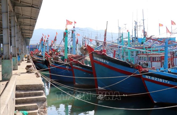Tàu thuyền Khánh Hoà phải nằm bờ vì thời tiết bất lợi kéo dài