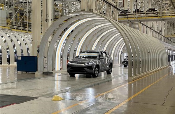 Điểm tin kinh tế thế giới nổi bật ngày 12/2/2026