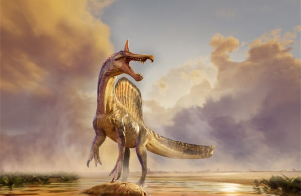 Phát hiện loài khủng long chưa từng được biết đến trên sa mạc Sahara