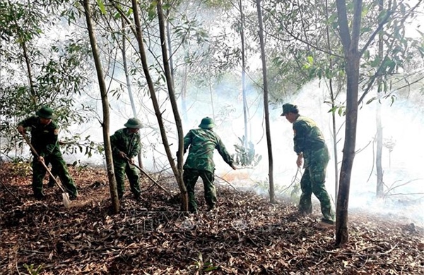 Kịp thời dập tắt cháy rừng ở khu vực biên giới biển