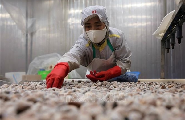 Điểm tin kinh tế Việt Nam nổi bật ngày 1/4/2026