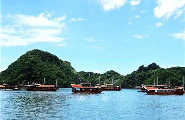 Phối hợp quản lý, bảo vệ, phát huy giá trị di sản vịnh Hạ Long - quần đảo Cát Bà