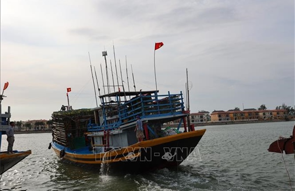 Minh bạch dữ liệu và kiểm soát khai thác hải sản