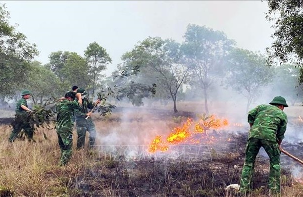 Quảng Trị chủ động phòng ngừa cháy rừng trong cao điểm nắng nóng