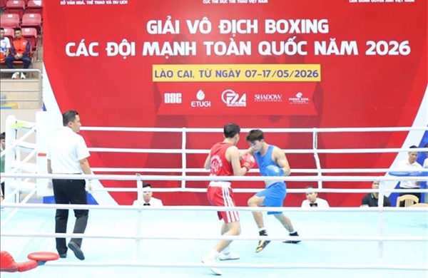 Khai mạc Giải vô địch boxing các đội mạnh toàn quốc năm 2026