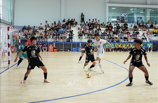 500 triệu đồng cho đội vô địch giải Futsal quốc gia 2026