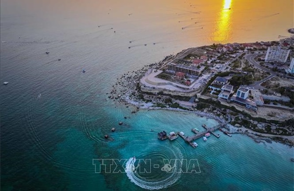 Bên trong ‘bức tranh sức khỏe’ ngày càng xấu đi của đại dương