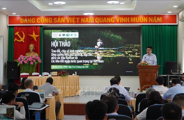 Bảo tồn vùng đất ngập nước trước nguy cơ suy thoái sinh cảnh