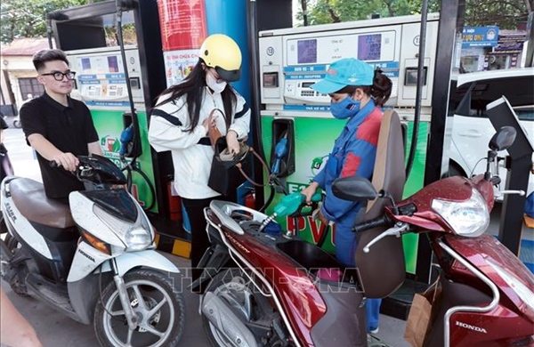 Thí điểm một số chính sách trong triển khai lộ trình sử dụng xăng E10