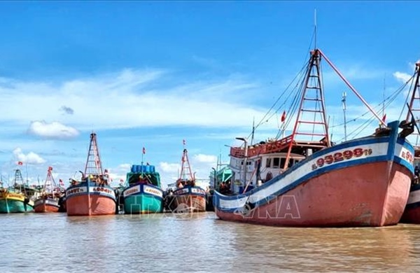 Cà Mau tăng cường kiểm soát tàu cá, tái tạo nguồn lợi thủy sản