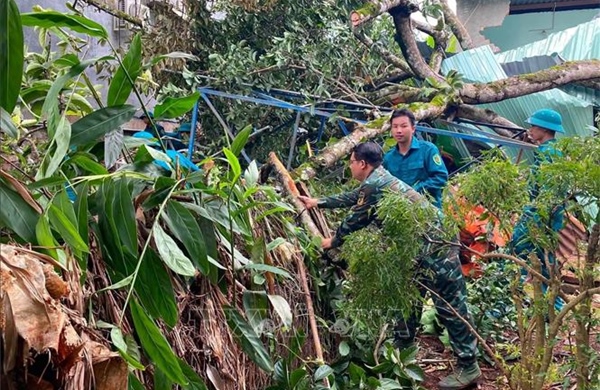 Đồng Nai khẩn trương khắc phục hậu quả mưa lớn kèm dông lốc