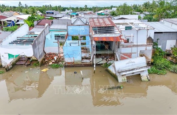 Sạt lở bờ sông nghiêm trọng tại xã Đại Hải, thành phố Cần Thơ
