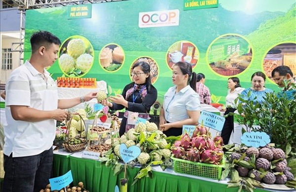 Thái Nguyên: Đẩy mạnh kết nối tiêu thụ na La Hiên và nông sản chủ lực