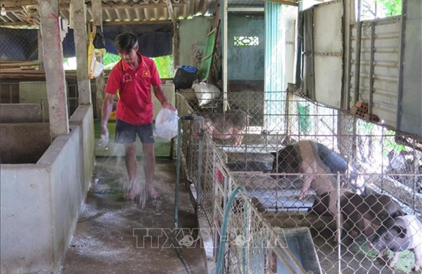 Bàn giải pháp ngăn chặn dịch bệnh trên đàn vật nuôi