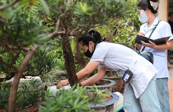 Kích hoạt ‘lá chắn’ phòng sốt xuất huyết từ cơ sở
