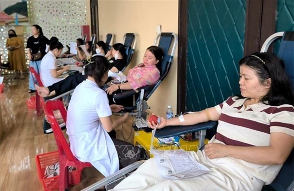 Những giọt máu nghĩa tình trao gửi yêu thương giữa đại ngàn