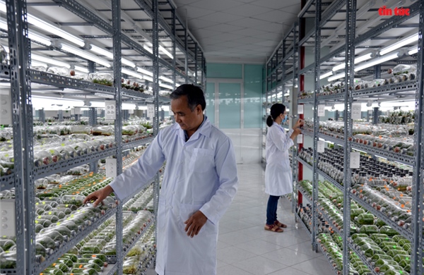 Chuyển đổi kép tạo động lực tăng năng suất và năng lực cạnh tranh