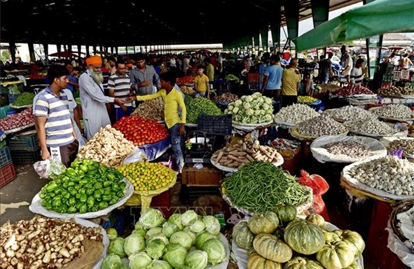 Dấu hiệu quan trọng về hướng phát triển của kinh tế Ấn Độ 