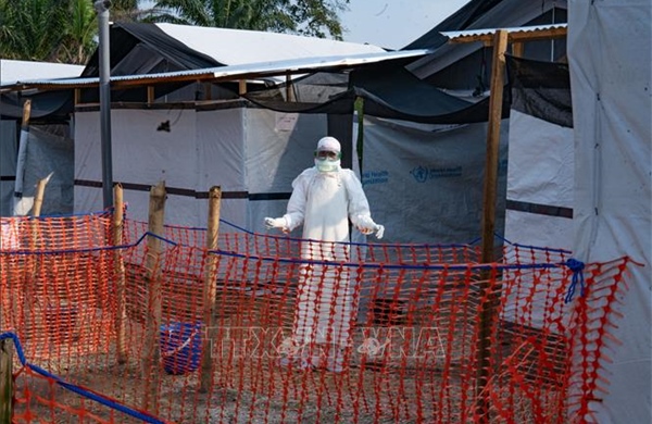 Giải mã virus Ebola đang khiến WHO báo động toàn cầu