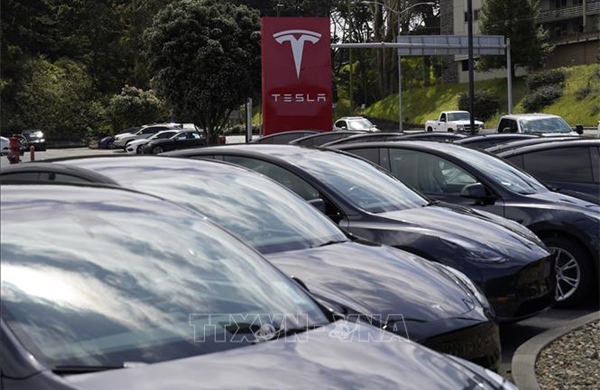 Tesla đối mặt nghịch lý giữa lợi nhuận và doanh thu khi chuyển hướng sang robot và AI