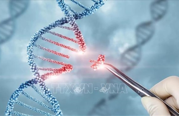 Chỉnh sửa gien có thể giúp loại bỏ cholesterol cao trong suốt cuộc đời