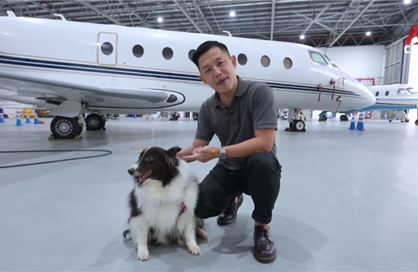 Bỏ ra hàng chục nghìn USD chỉ để bay cùng thú cưng