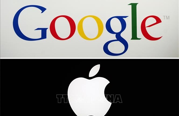 Apple bắt tay Google để 'tăng tốc' trong cuộc đua AI