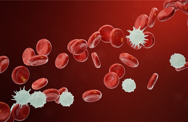 Đột phá tước bỏ thành công 'lớp khiên đường' của tế bào ung thư