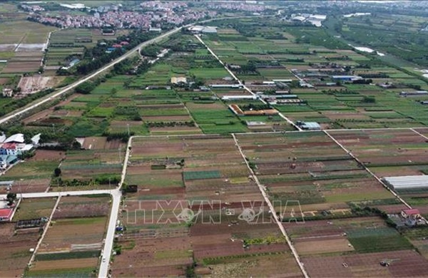 Hà Nội: Sẽ đấu giá 50 thửa đất tại huyện Mỹ Đức