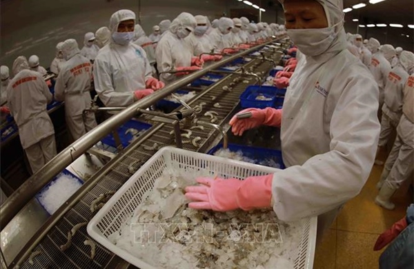 Việt Nam xây dựng chuỗi cung ứng bền vững trong trật tự thương mại đa cực