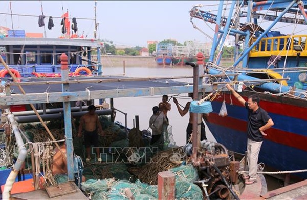 Hải Phòng quyết liệt chống khai thác IUU