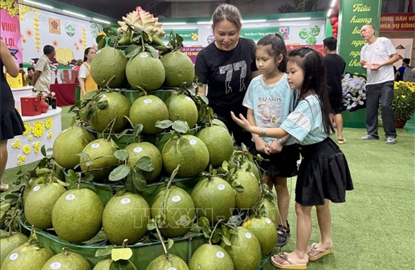 Lần đầu tiên tổ chức Lễ hội &#39;Hương bưởi Tân Triều&#39;