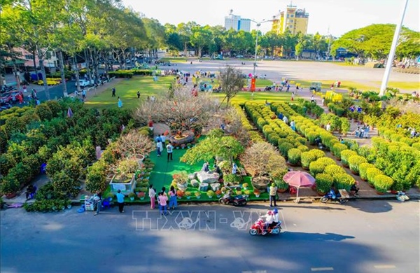 Cao nguyên Đắk Lắk rực rỡ sắc Xuân