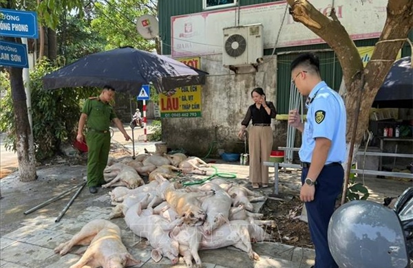 Quyết liệt xử lý các cơ sở kinh doanh thực phẩm không rõ nguồn gốc