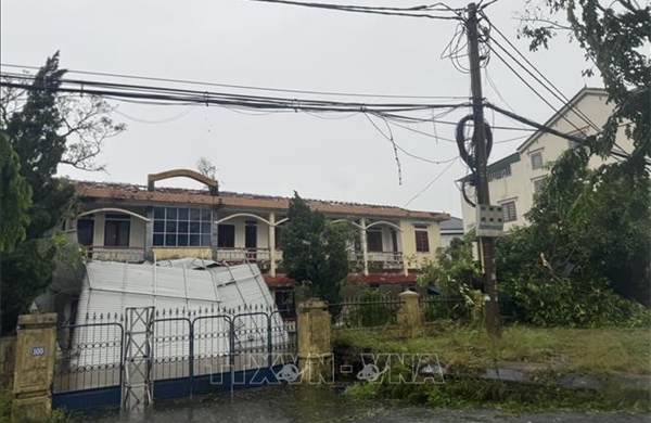 Cơ bản khắc phục sự cố trên đường dây 500 kV và 220 kV tại Nghệ An và Hà Tĩnh
