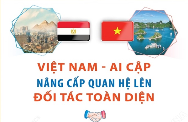 Việt Nam - Ai Cập nâng cấp quan hệ lên Đối tác Toàn diện