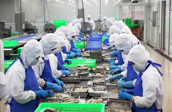 EU ban hành quy định mới về hàm lượng Asen trong cá, thủy sản nhập khẩu