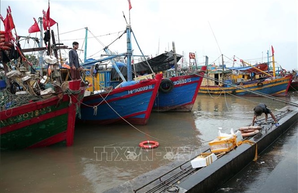 Hải Phòng cấm nhiều hoạt động ở cửa sông, ven biển, ngoài khơi