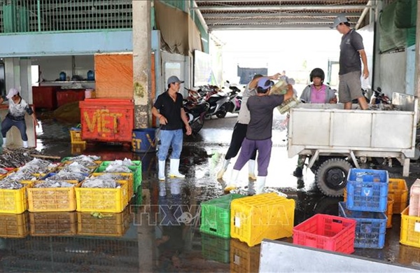 Ngư dân nâng nhận thức, đồng lòng chống khai thác IUU