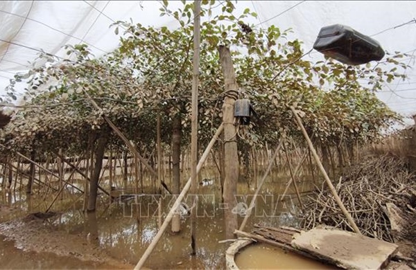 Khánh Hòa: Thiệt hại nặng nề về hạ tầng, nông nghiệp