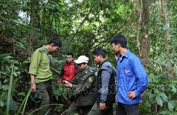 Chuyển đổi quản lý, bảo vệ rừng - Bài 2: Cộng đồng và công nghệ số tạo lá chắn
