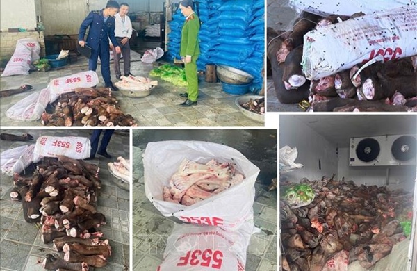 Phát hiện gần 6 tấn xương trâu, bò trôi nổi bán cho quán phở, quán nhậu
